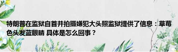 特朗普在监狱自首并拍摄嫌犯大头照监狱提供了信息：草莓色头发蓝眼睛 具体是怎么回事？