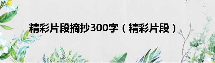 精彩片段摘抄300字（精彩片段）