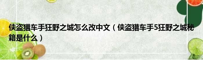 侠盗猎车手狂野之城怎么改中文（侠盗猎车手5狂野之城秘籍是什么）