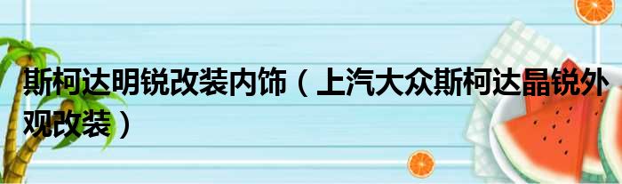 斯柯达明锐改装内饰（上汽大众斯柯达晶锐外观改装）