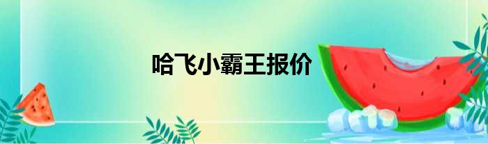 哈飞小霸王报价