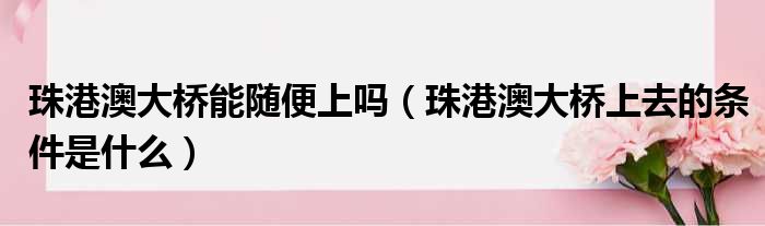 珠港澳大桥能随便上吗（珠港澳大桥上去的条件是什么）