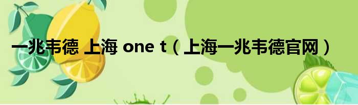 一兆韦德 上海 one t（上海一兆韦德官网）