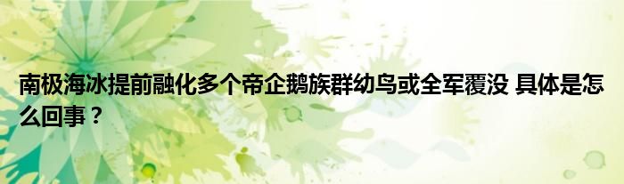 南极海冰提前融化多个帝企鹅族群幼鸟或全军覆没 具体是怎么回事？