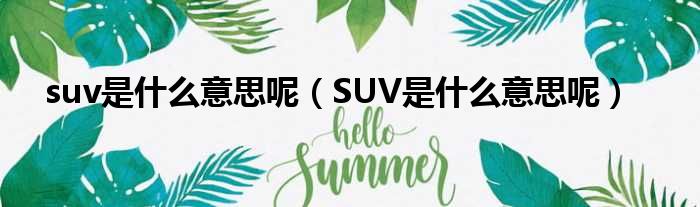 suv是什么意思呢（SUV是什么意思呢）