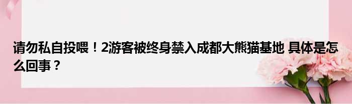 请勿私自投喂！2游客被终身禁入成都大熊猫基地 具体是怎么回事？