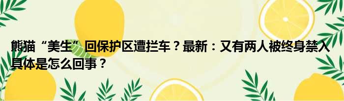 熊猫“美生”回保护区遭拦车？最新：又有两人被终身禁入 具体是怎么回事？