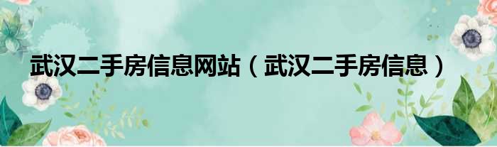 武汉二手房信息网站（武汉二手房信息）