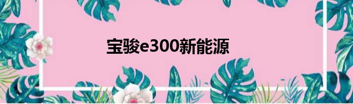 宝骏e300新能源