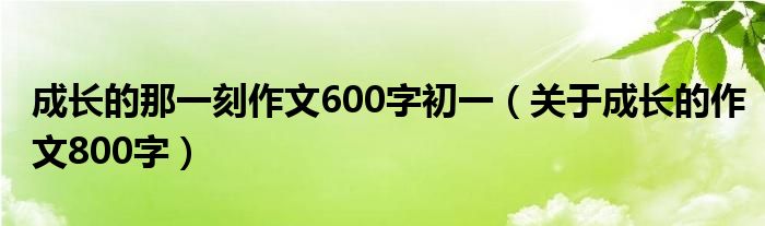 成长的那一刻作文600字初一（关于成长的作文800字）