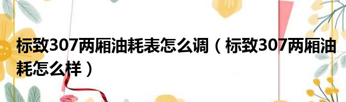 标致307两厢油耗表怎么调（标致307两厢油耗怎么样）