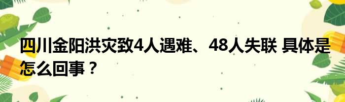 四川金阳洪灾致4人遇难、48人失联 具体是怎么回事？