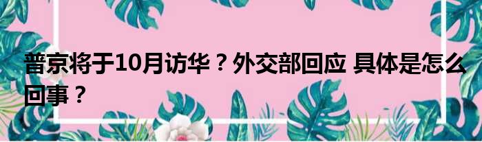 普京将于10月访华？外交部回应 具体是怎么回事？