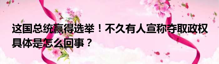 这国总统赢得选举！不久有人宣称夺取政权 具体是怎么回事？