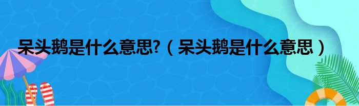 呆头鹅是什么意思?（呆头鹅是什么意思）