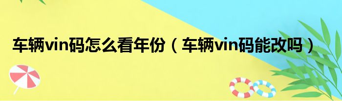 车辆vin码怎么看年份（车辆vin码能改吗）