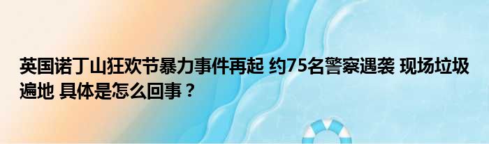 英国诺丁山狂欢节暴力事件再起 约75名警察遇袭 现场垃圾遍地 具体是怎么回事？