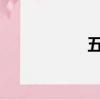 五菱荣光加长版报价