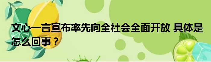 文心一言宣布率先向全社会全面开放 具体是怎么回事？