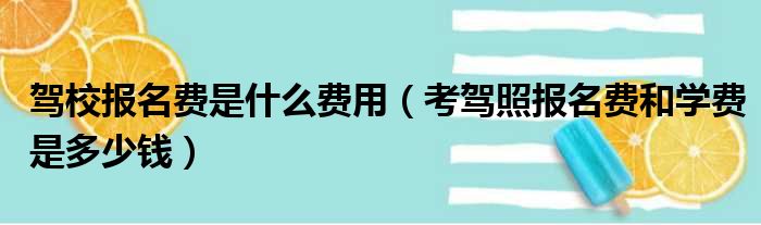 驾校报名费是什么费用（考驾照报名费和学费是多少钱）