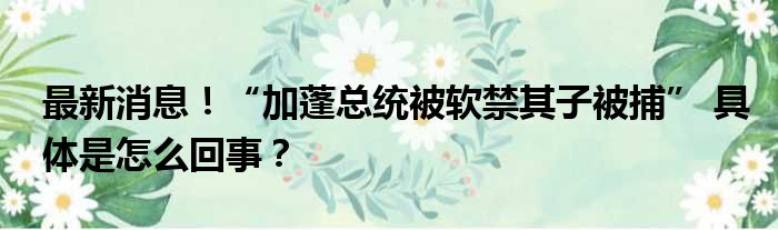 最新消息！“加蓬总统被软禁其子被捕” 具体是怎么回事？