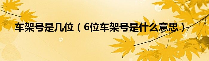 车架号是几位（6位车架号是什么意思）