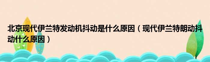 北京现代伊兰特发动机抖动是什么原因（现代伊兰特朗动抖动什么原因）