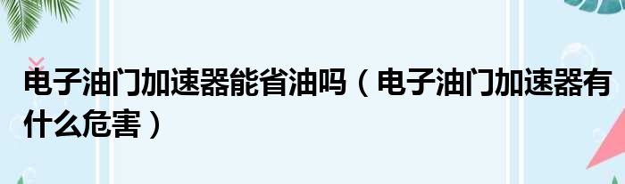 电子油门加速器能省油吗（电子油门加速器有什么危害）