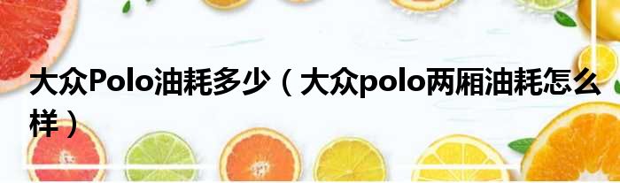 大众Polo油耗多少（大众polo两厢油耗怎么样）