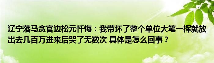 辽宁落马贪官边松元忏悔：我带坏了整个单位大笔一挥就放出去几百万进来后哭了无数次 具体是怎么回事？