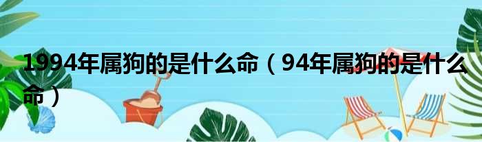 1994年属狗的是什么命（94年属狗的是什么命）