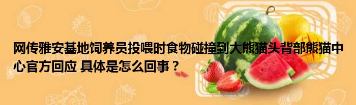 网传雅安基地饲养员投喂时食物碰撞到大熊猫头背部熊猫中心官方回应 具体是怎么回事？