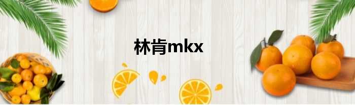 林肯mkx