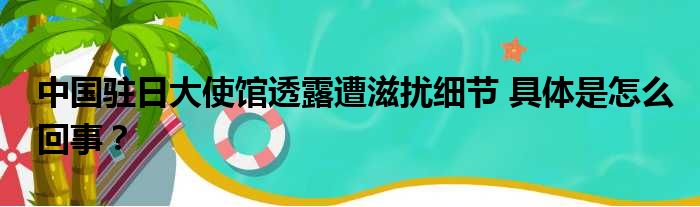 中国驻日大使馆透露遭滋扰细节 具体是怎么回事？