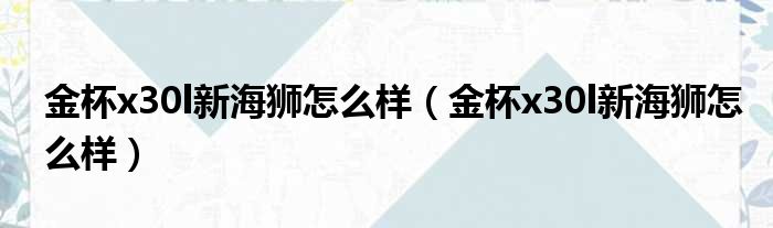 金杯x30l新海狮怎么样（金杯x30l新海狮怎么样）