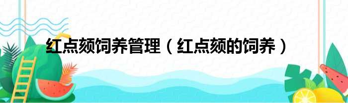 红点颏饲养管理（红点颏的饲养）