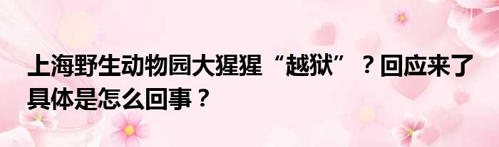 上海野生动物园大猩猩“越狱”？回应来了 具体是怎么回事？