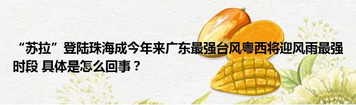 “苏拉”登陆珠海成今年来广东最强台风粤西将迎风雨最强时段 具体是怎么回事？