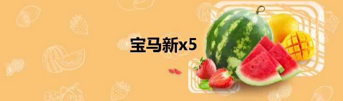 宝马新x5