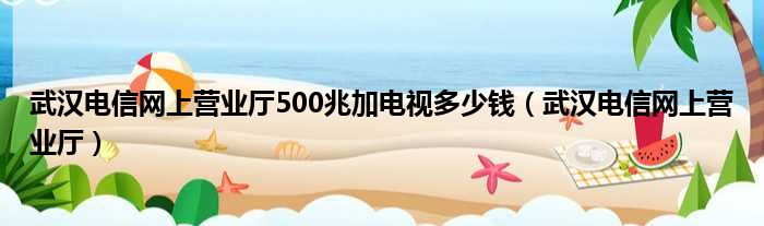 武汉电信网上营业厅500兆加电视多少钱（武汉电信网上营业厅）