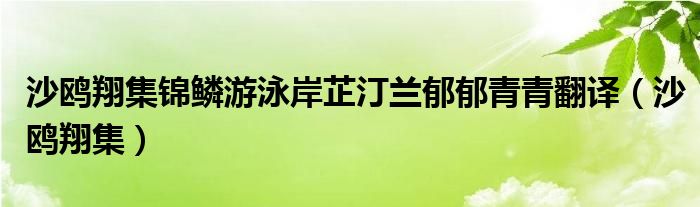 沙鸥翔集锦鳞游泳岸芷汀兰郁郁青青翻译（沙鸥翔集）