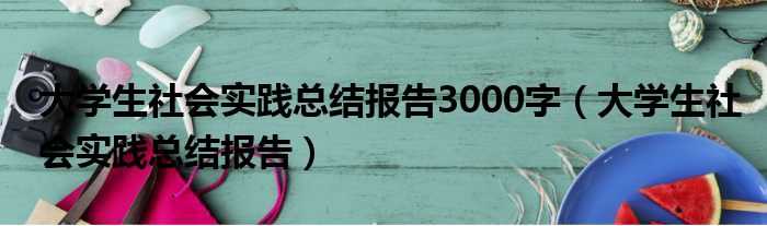 大学生社会实践总结报告3000字（大学生社会实践总结报告）