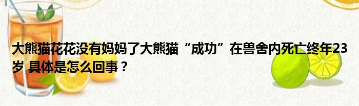 大熊猫花花没有妈妈了大熊猫“成功”在兽舍内死亡终年23岁 具体是怎么回事？