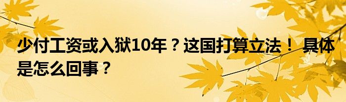 少付工资或入狱10年？这国打算立法！ 具体是怎么回事？