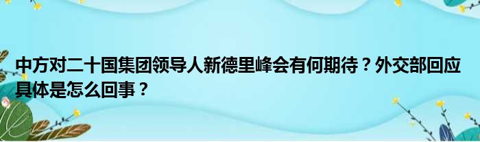 中方对二十国集团领导人新德里峰会有何期待？外交部回应 具体是怎么回事？