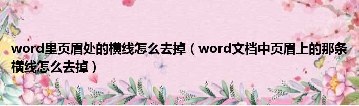 word里页眉处的横线怎么去掉（word文档中页眉上的那条横线怎么去掉）