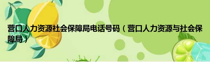 营口人力资源社会保障局电话号码（营口人力资源与社会保障局）