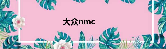 大众nmc