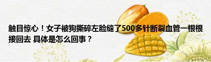 触目惊心！女子被狗撕碎左脸缝了500多针断裂血管一根根接回去 具体是怎么回事？