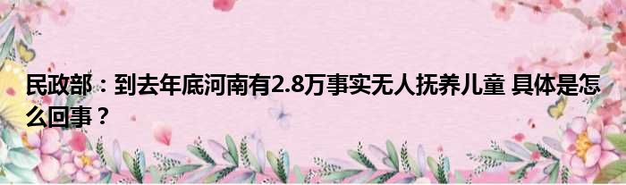 民政部：到去年底河南有2.8万事实无人抚养儿童 具体是怎么回事？